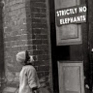 Meet your Posher, Meghan